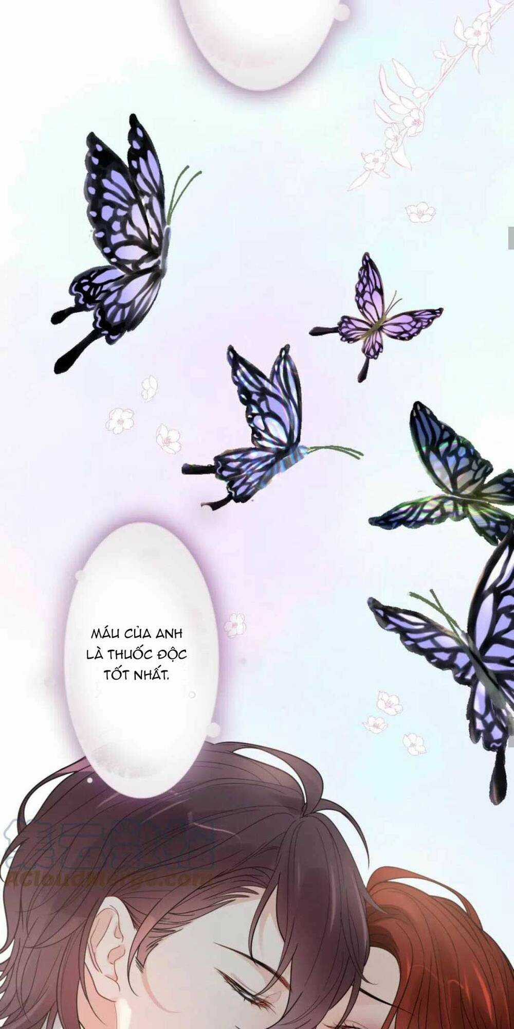 Cô Vợ Hợp Đồng Bỏ Trốn Của Tổng Giám Đốc Chapter 479 trang 20