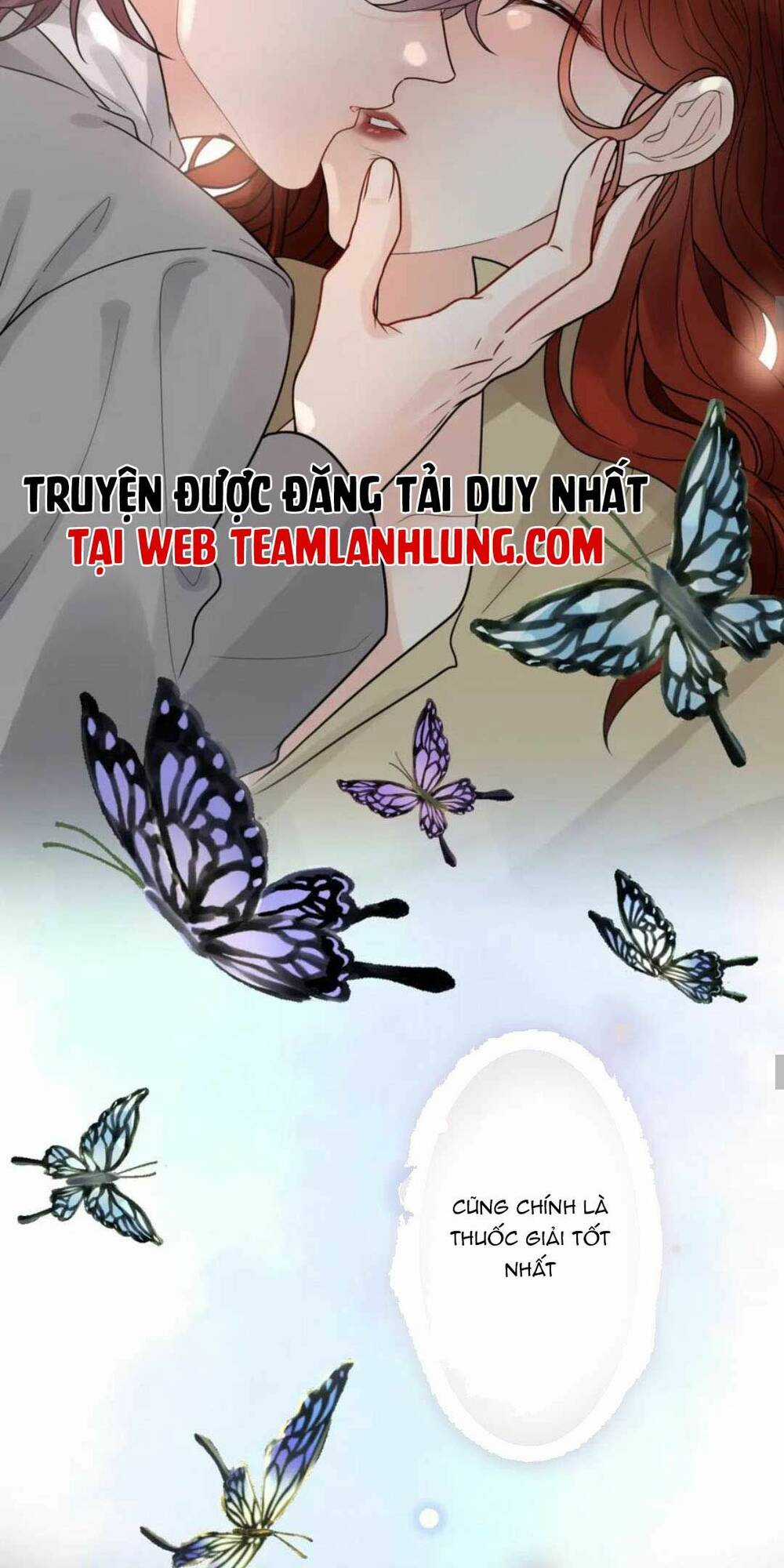 Cô Vợ Hợp Đồng Bỏ Trốn Của Tổng Giám Đốc Chapter 479 trang 21