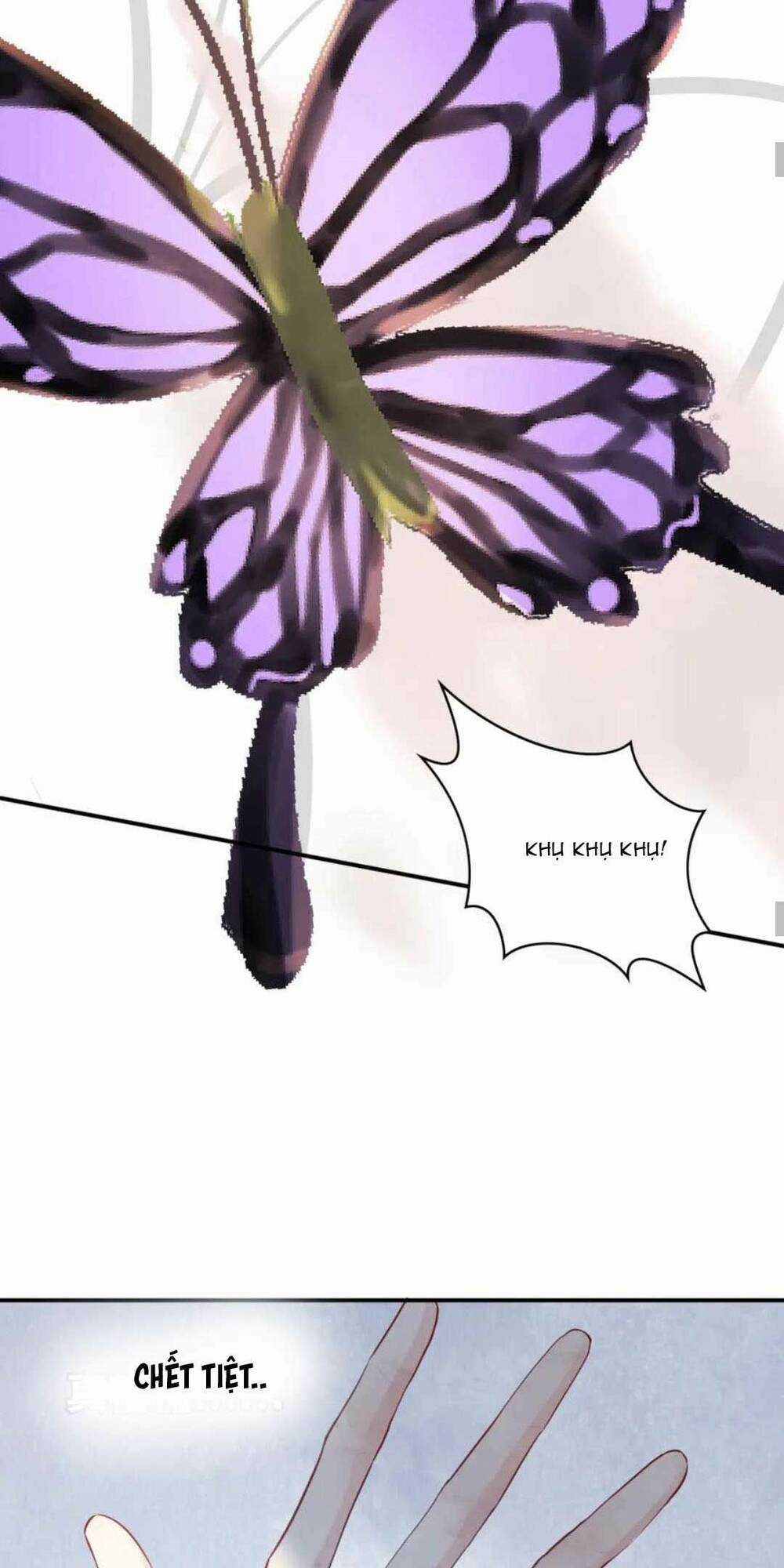 Cô Vợ Hợp Đồng Bỏ Trốn Của Tổng Giám Đốc Chapter 479 trang 24