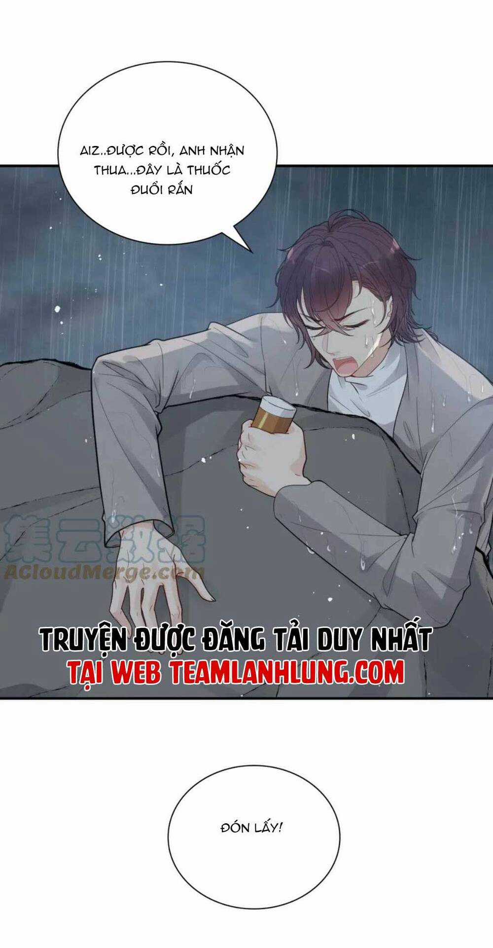Cô Vợ Hợp Đồng Bỏ Trốn Của Tổng Giám Đốc Chapter 479 trang 4