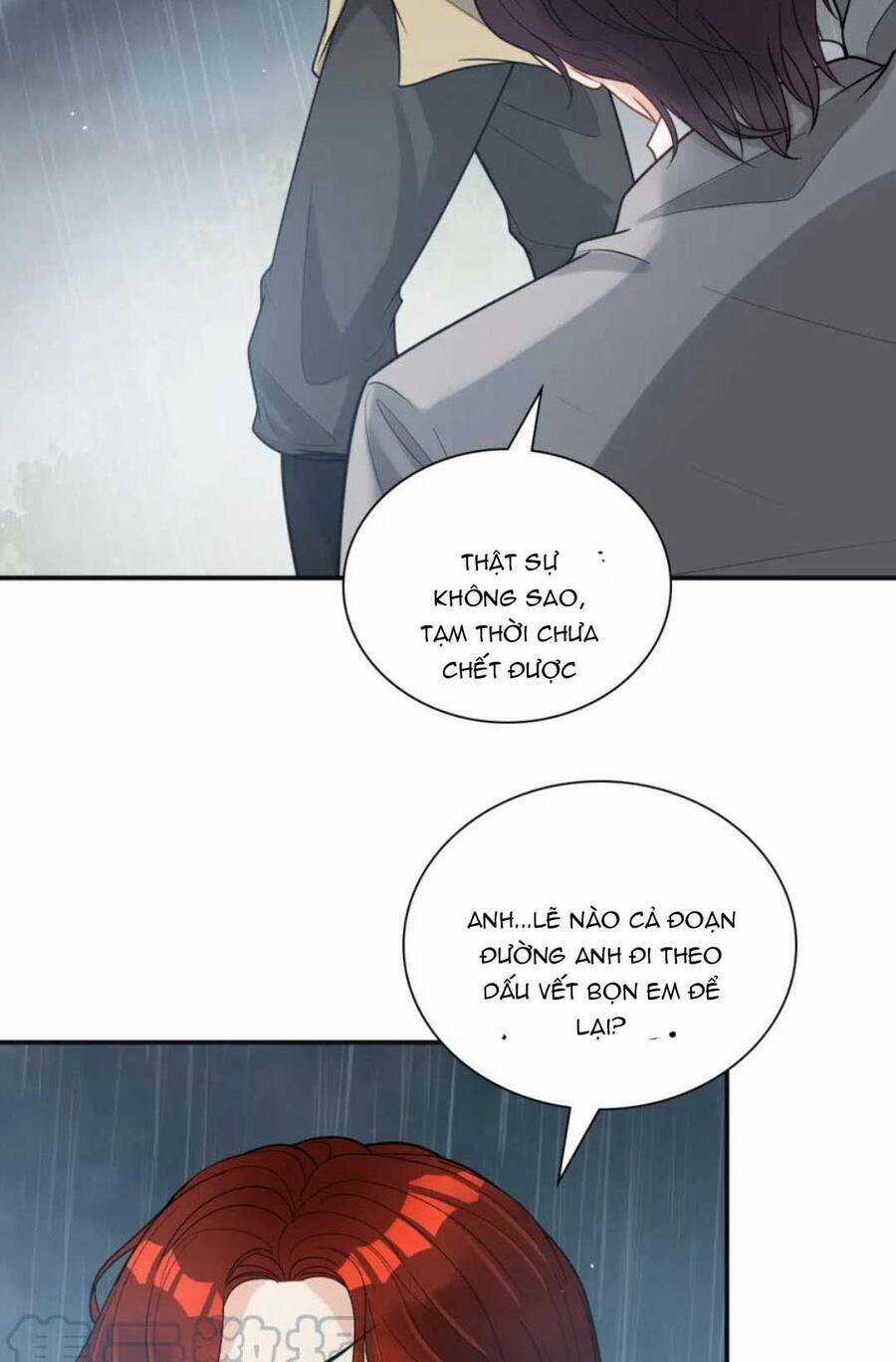 Cô Vợ Hợp Đồng Bỏ Trốn Của Tổng Giám Đốc Chapter 480 trang 12