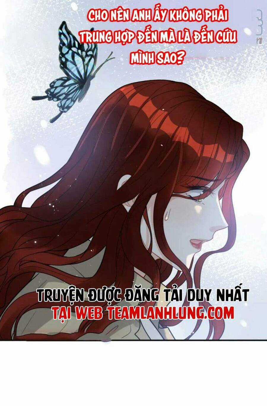 Cô Vợ Hợp Đồng Bỏ Trốn Của Tổng Giám Đốc Chapter 480 trang 15