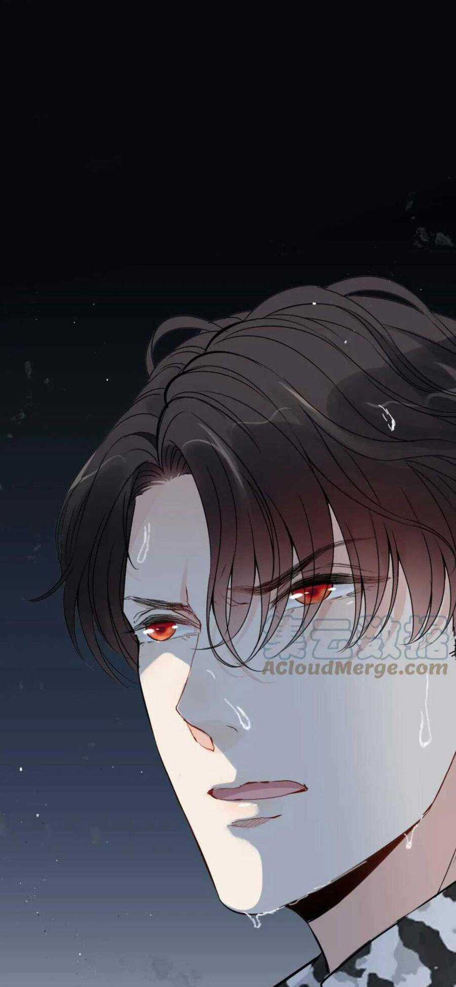 Cô Vợ Hợp Đồng Bỏ Trốn Của Tổng Giám Đốc Chapter 480 trang 48