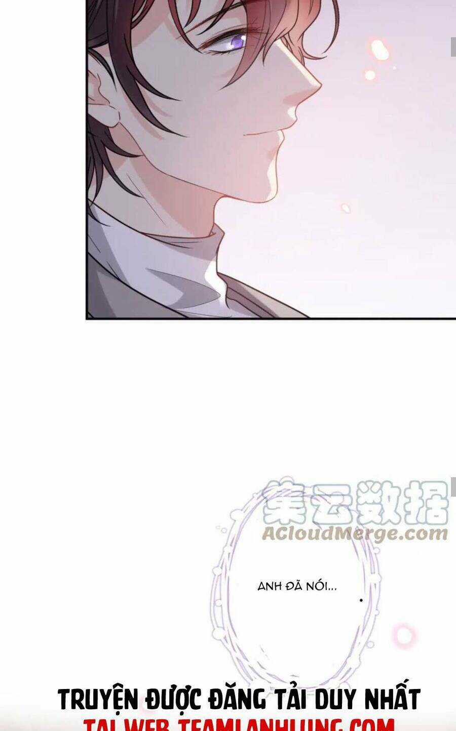 Cô Vợ Hợp Đồng Bỏ Trốn Của Tổng Giám Đốc Chapter 481 trang 40