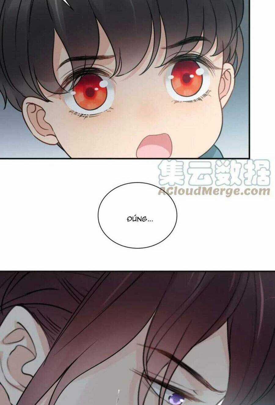 Cô Vợ Hợp Đồng Bỏ Trốn Của Tổng Giám Đốc Chapter 481 trang 7