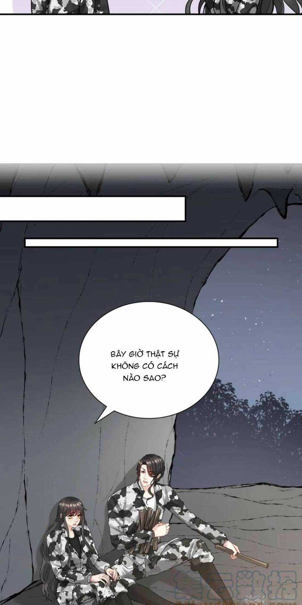 Cô Vợ Hợp Đồng Bỏ Trốn Của Tổng Giám Đốc Chapter 482 trang 12