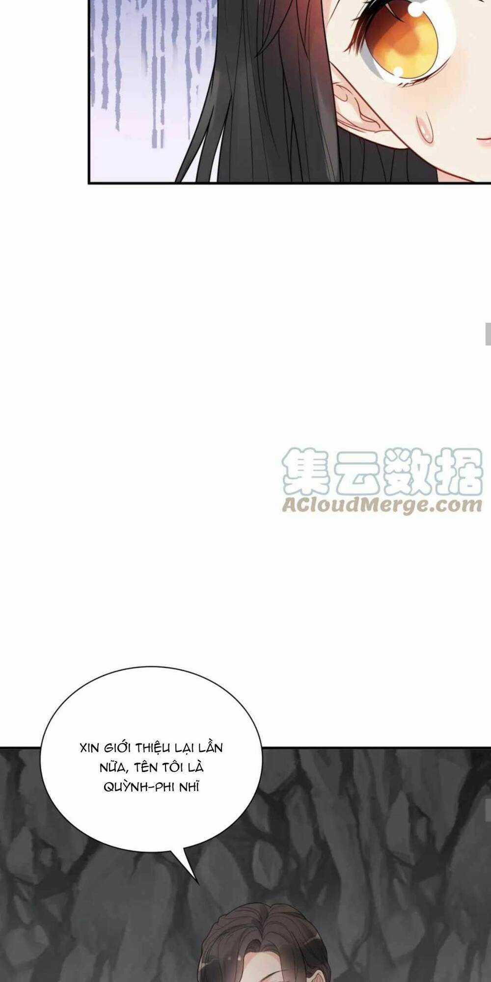 Cô Vợ Hợp Đồng Bỏ Trốn Của Tổng Giám Đốc Chapter 482 trang 17