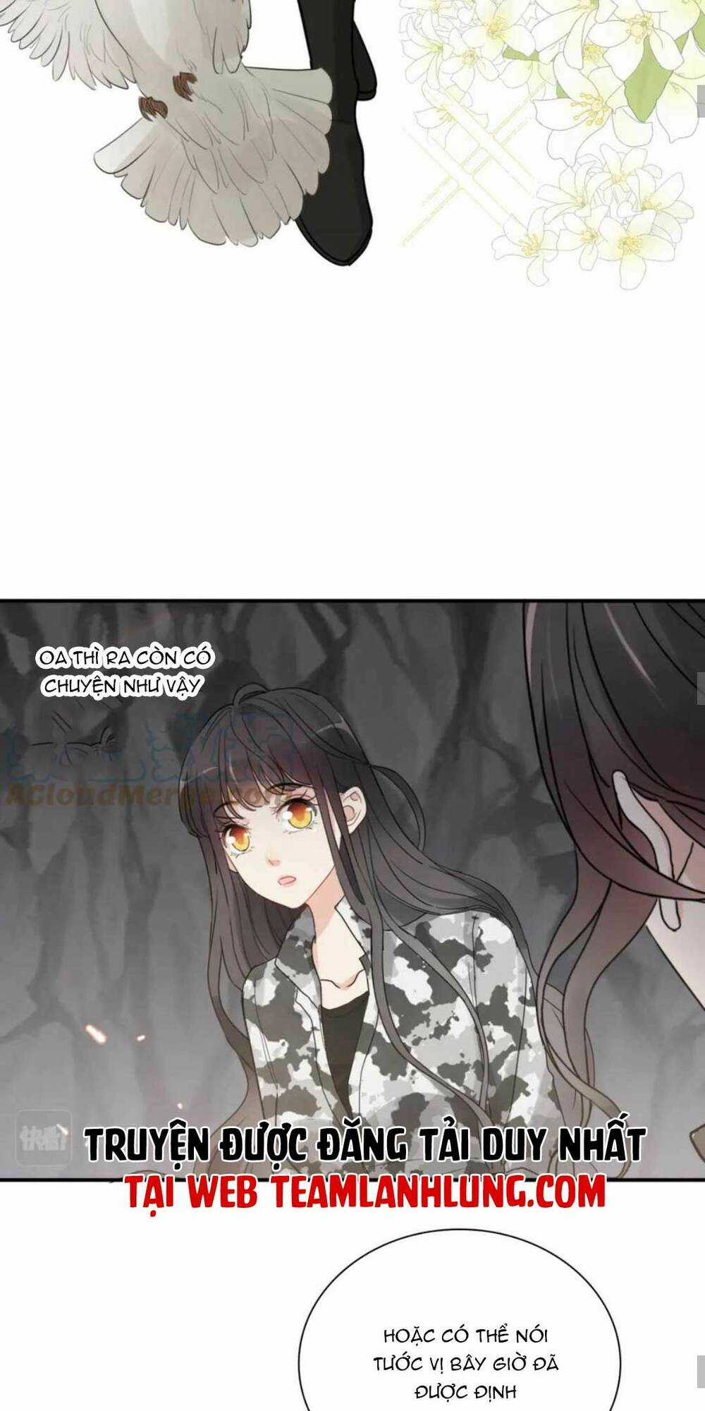 Cô Vợ Hợp Đồng Bỏ Trốn Của Tổng Giám Đốc Chapter 482 trang 24