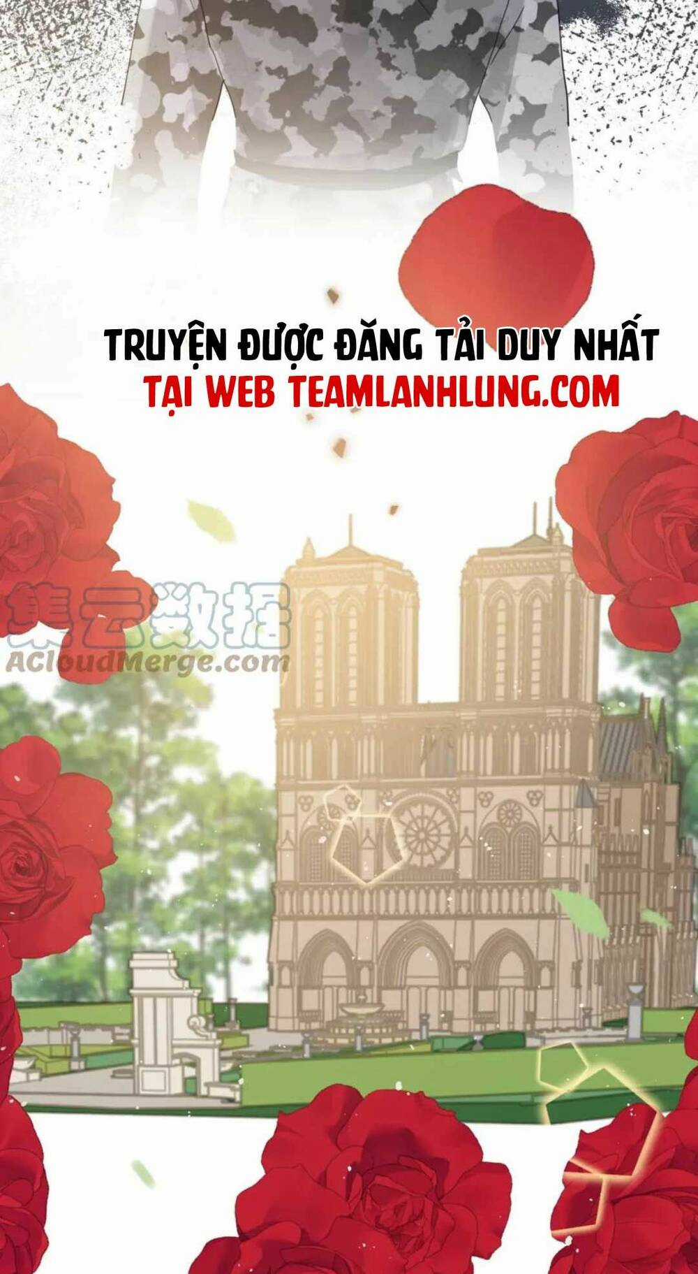 Cô Vợ Hợp Đồng Bỏ Trốn Của Tổng Giám Đốc Chapter 482 trang 37