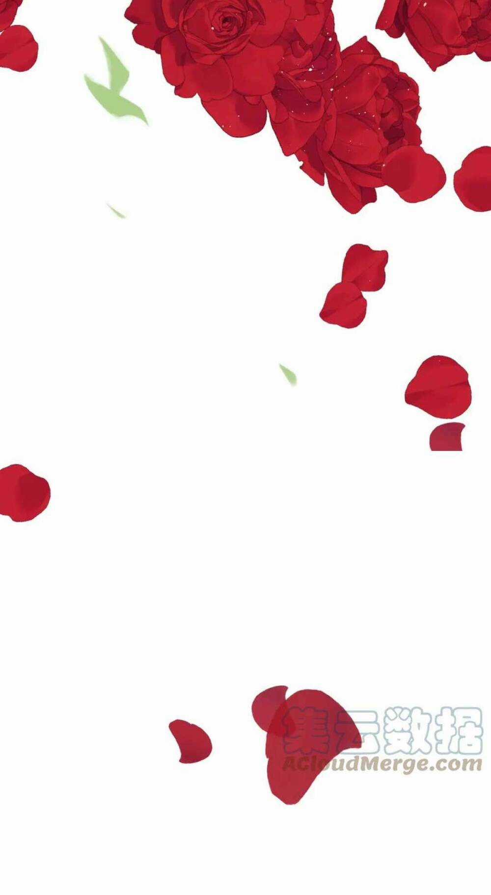 Cô Vợ Hợp Đồng Bỏ Trốn Của Tổng Giám Đốc Chapter 482 trang 38