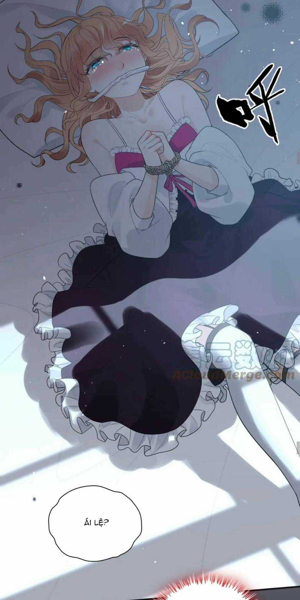 Cô Vợ Hợp Đồng Bỏ Trốn Của Tổng Giám Đốc Chapter 483 trang 20