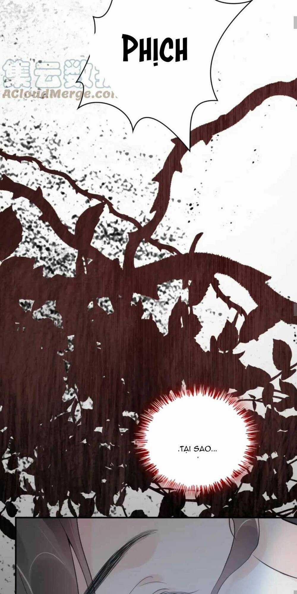 Cô Vợ Hợp Đồng Bỏ Trốn Của Tổng Giám Đốc Chapter 483 trang 24