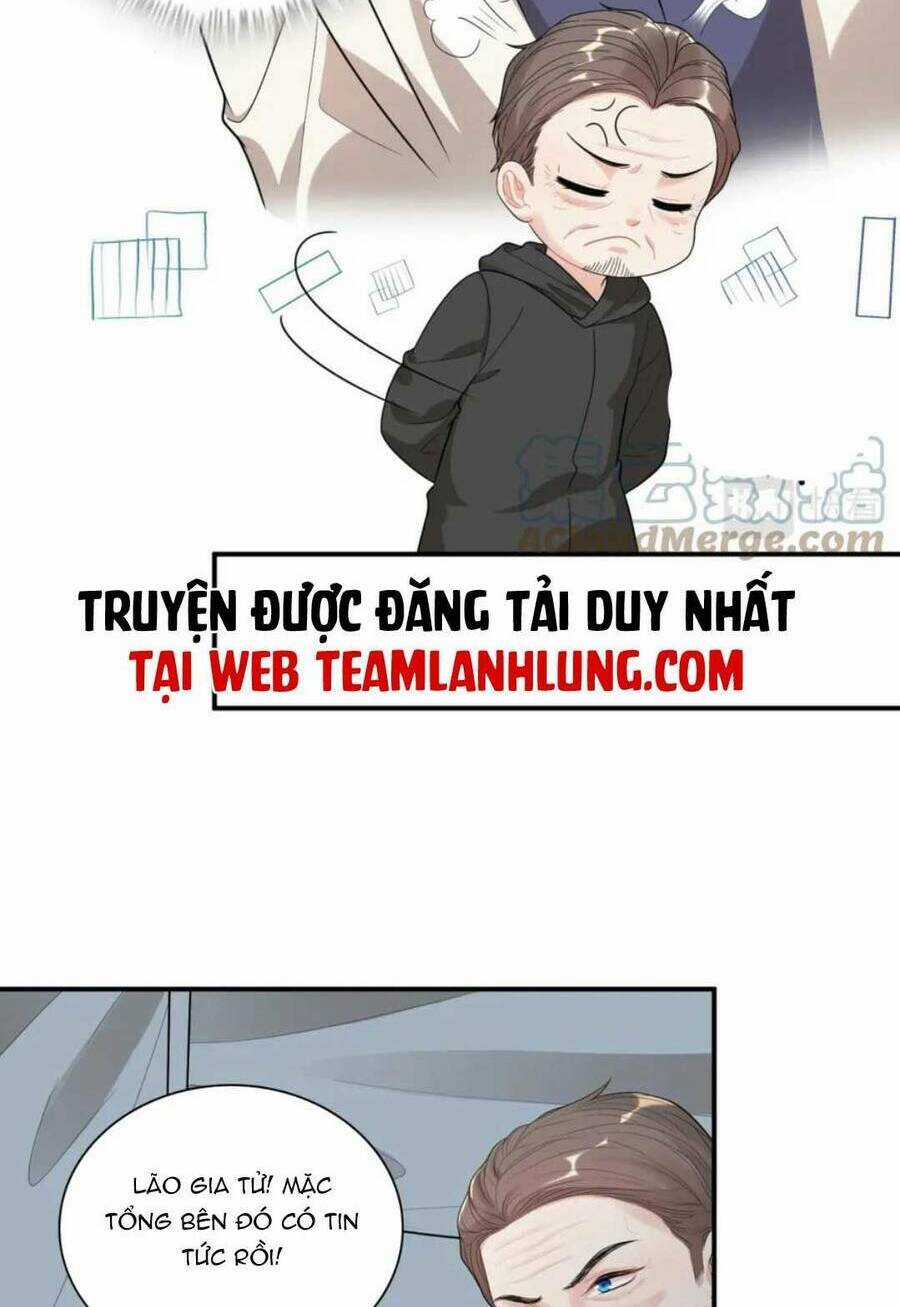 Cô Vợ Hợp Đồng Bỏ Trốn Của Tổng Giám Đốc Chapter 485 trang 12