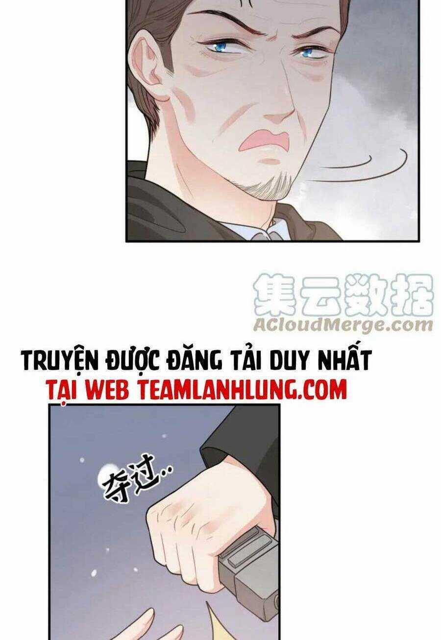 Cô Vợ Hợp Đồng Bỏ Trốn Của Tổng Giám Đốc Chapter 485 trang 14