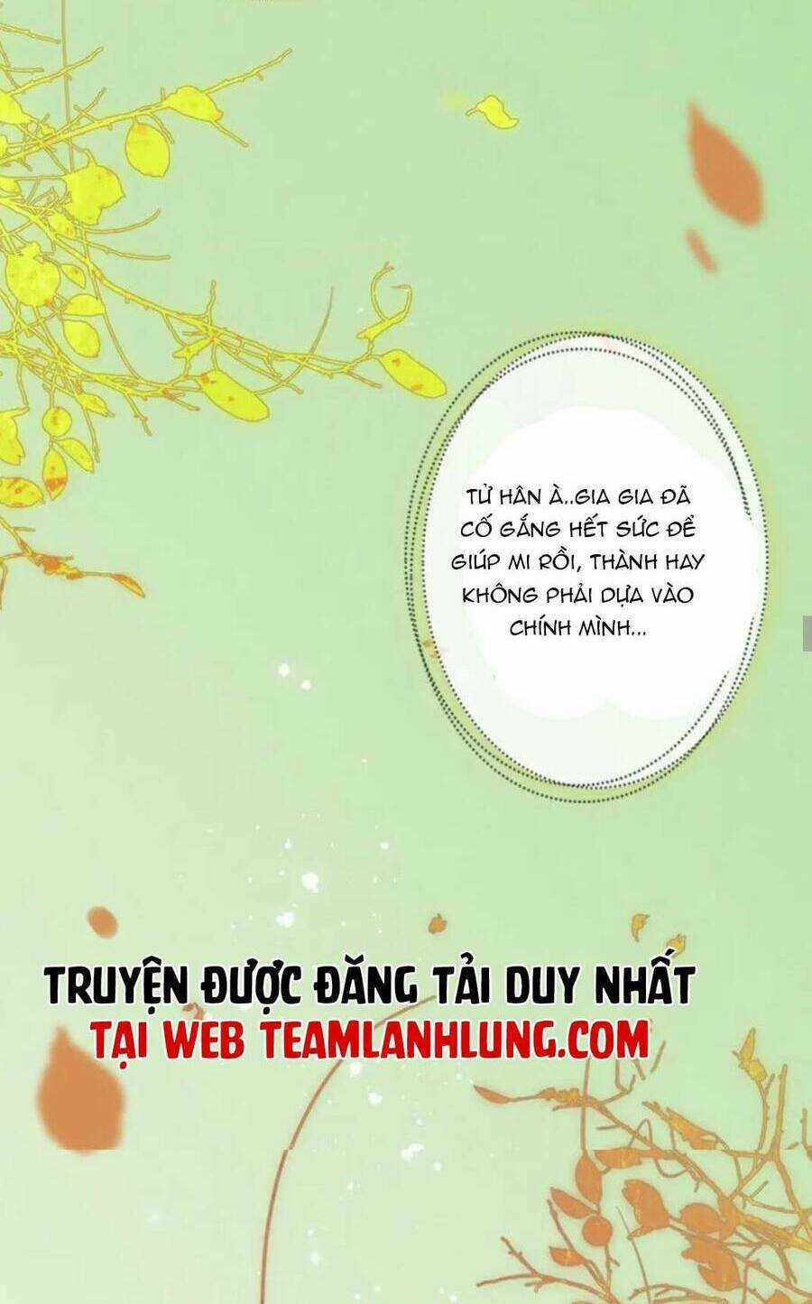 Cô Vợ Hợp Đồng Bỏ Trốn Của Tổng Giám Đốc Chapter 485 trang 27