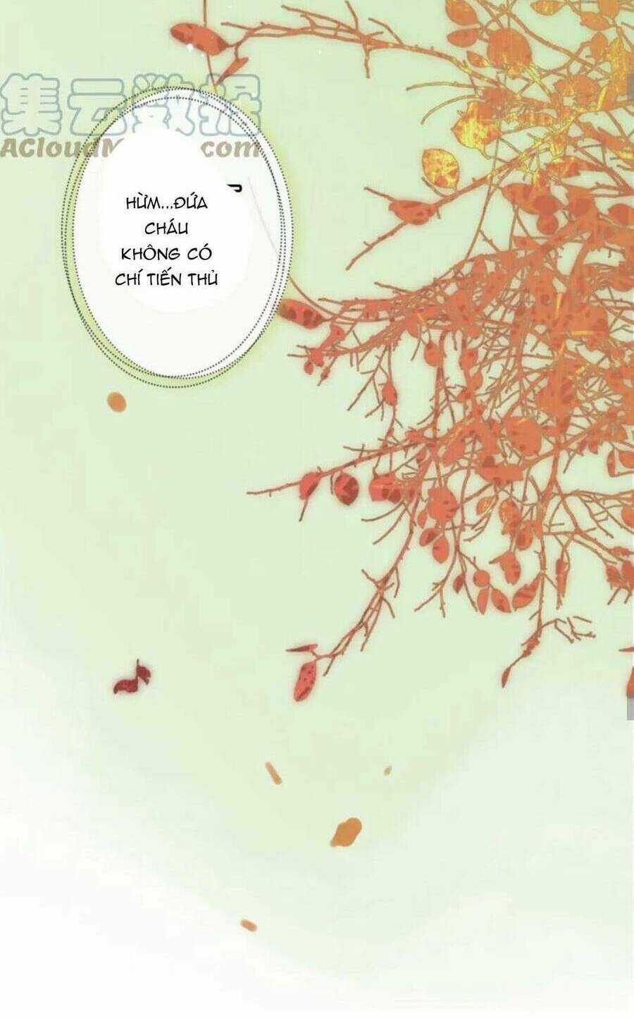 Cô Vợ Hợp Đồng Bỏ Trốn Của Tổng Giám Đốc Chapter 485 trang 28