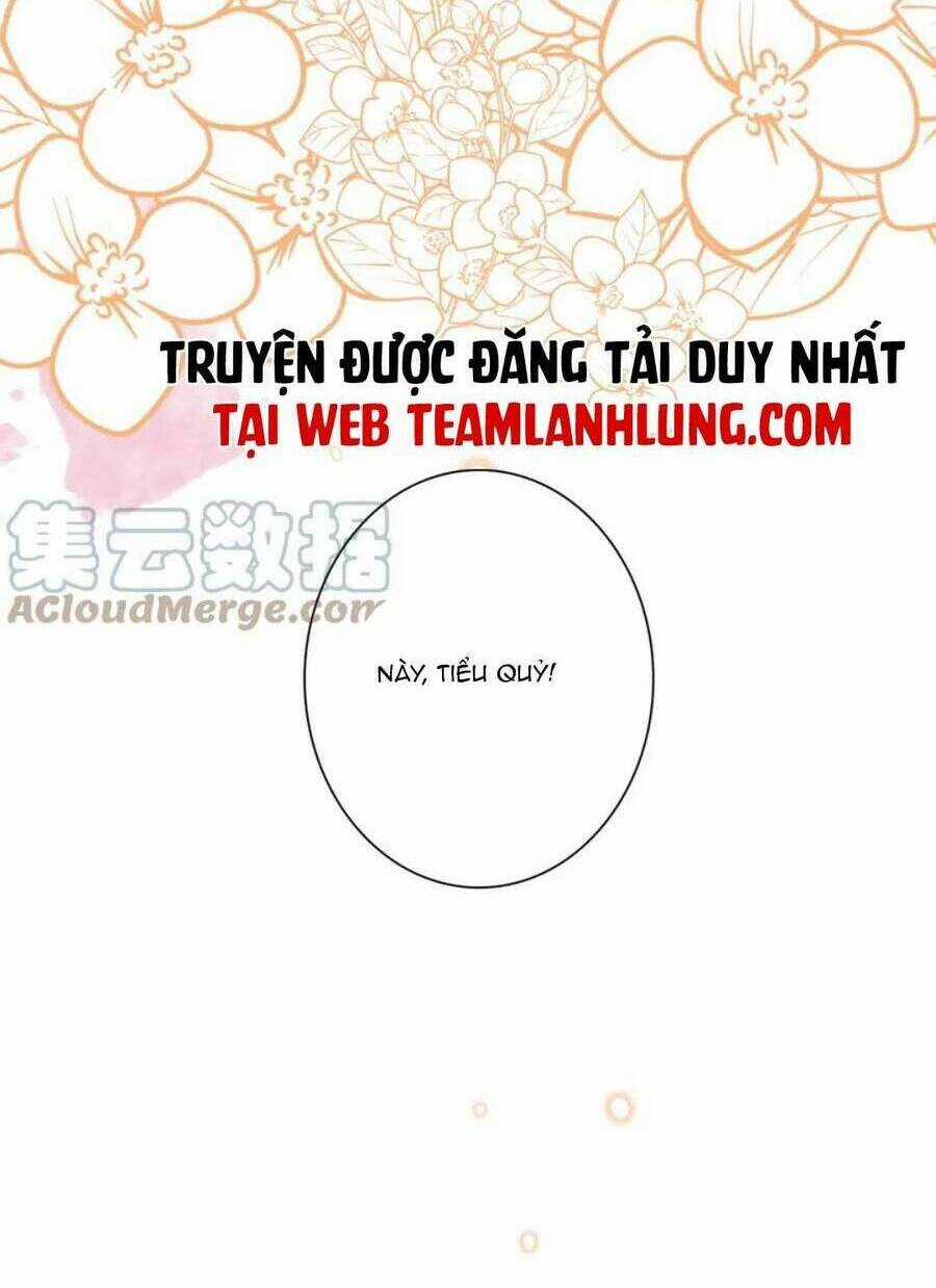 Cô Vợ Hợp Đồng Bỏ Trốn Của Tổng Giám Đốc Chapter 485 trang 52