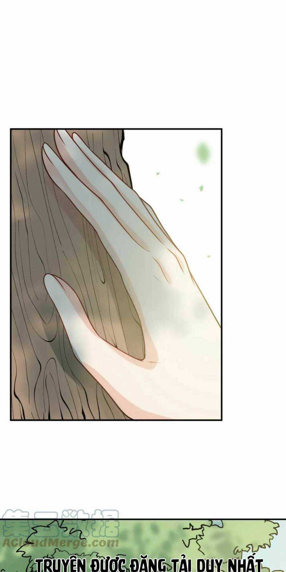 Cô Vợ Hợp Đồng Bỏ Trốn Của Tổng Giám Đốc Chapter 487 trang 16