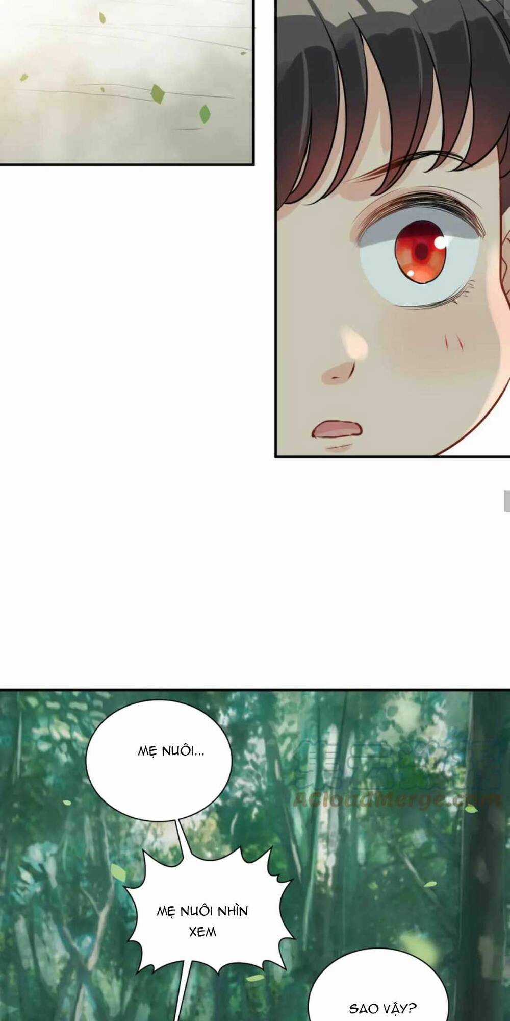 Cô Vợ Hợp Đồng Bỏ Trốn Của Tổng Giám Đốc Chapter 487 trang 37