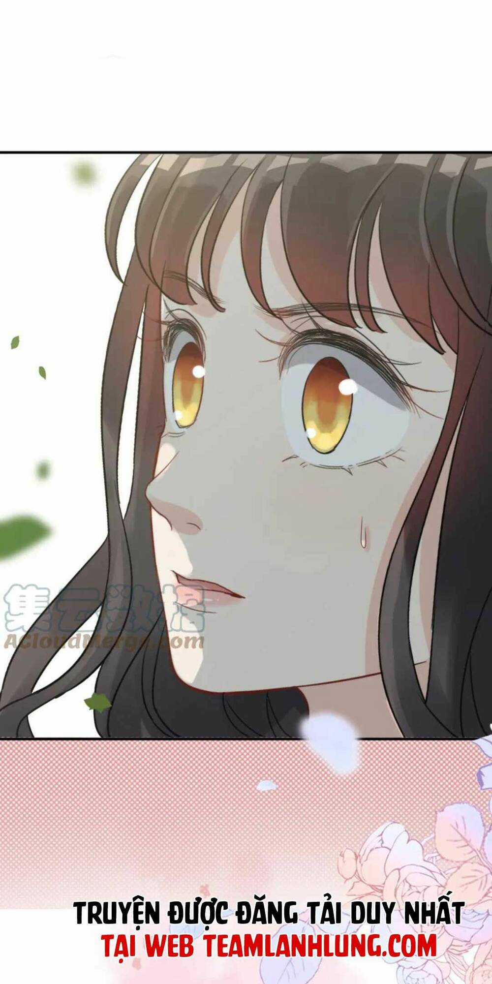 Cô Vợ Hợp Đồng Bỏ Trốn Của Tổng Giám Đốc Chapter 487 trang 44