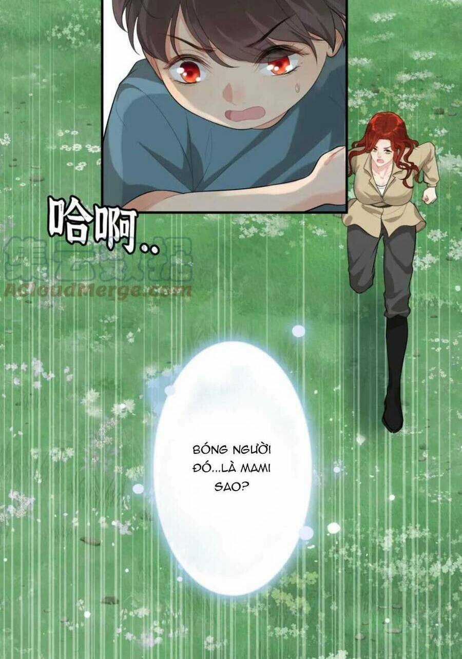 Cô Vợ Hợp Đồng Bỏ Trốn Của Tổng Giám Đốc Chapter 488 trang 2