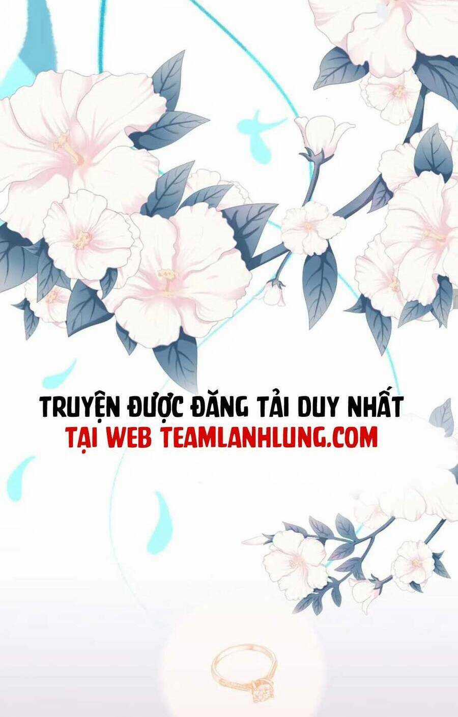 Cô Vợ Hợp Đồng Bỏ Trốn Của Tổng Giám Đốc Chapter 488 trang 41