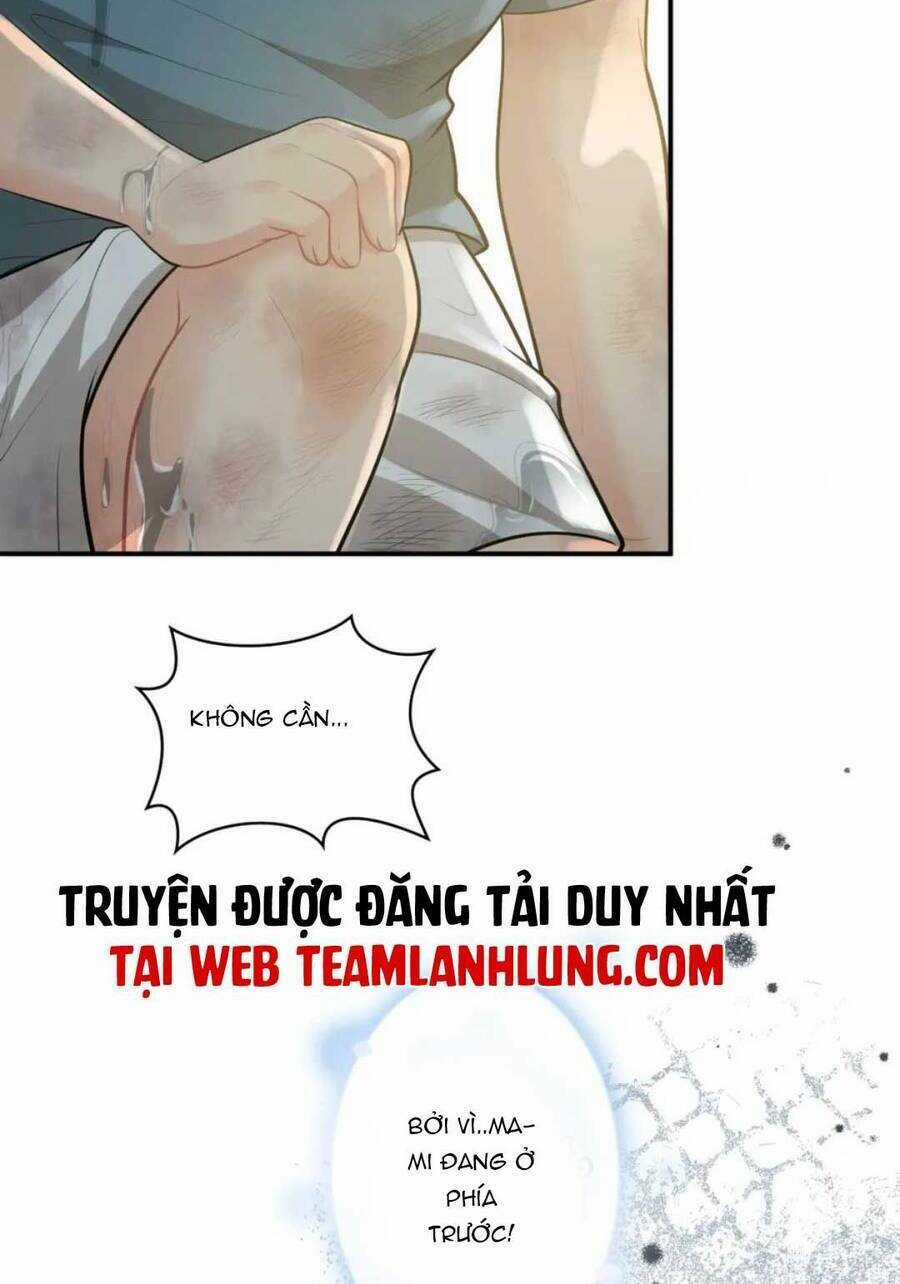 Cô Vợ Hợp Đồng Bỏ Trốn Của Tổng Giám Đốc Chapter 488 trang 7