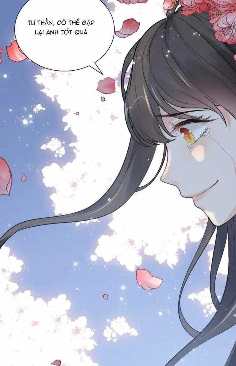 Cô Vợ Hợp Đồng Bỏ Trốn Của Tổng Giám Đốc Chapter 489 trang 14