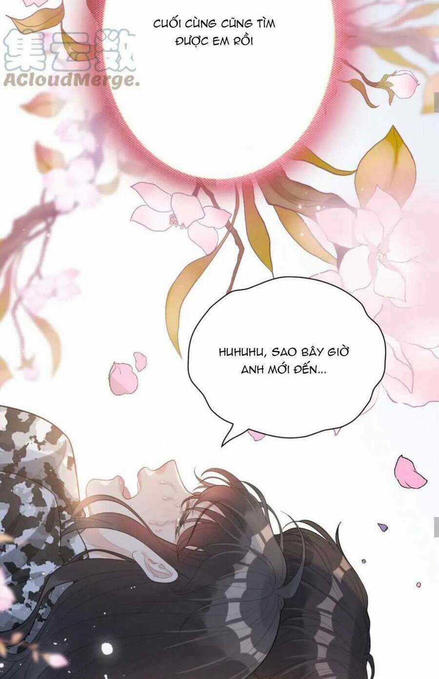 Cô Vợ Hợp Đồng Bỏ Trốn Của Tổng Giám Đốc Chapter 489 trang 21