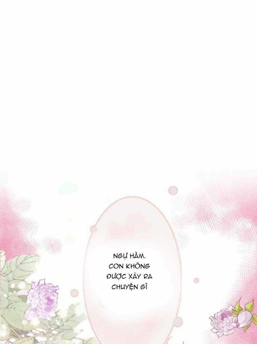 Cô Vợ Hợp Đồng Bỏ Trốn Của Tổng Giám Đốc Chapter 489 trang 51