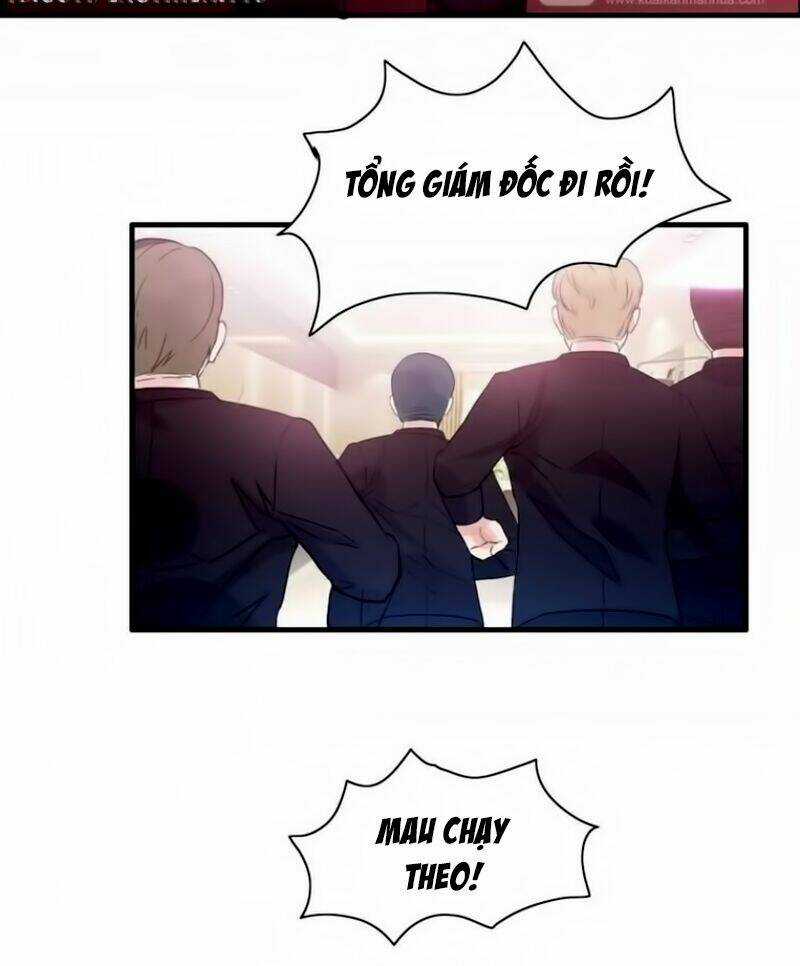 Cô Vợ Hợp Đồng Bỏ Trốn Của Tổng Giám Đốc Chapter 5 trang 17