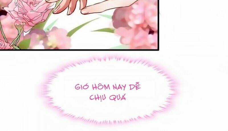 Cô Vợ Hợp Đồng Bỏ Trốn Của Tổng Giám Đốc Chapter 7 trang 21