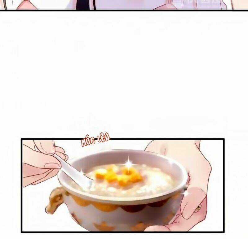 Cô Vợ Hợp Đồng Bỏ Trốn Của Tổng Giám Đốc Chapter 8 trang 12