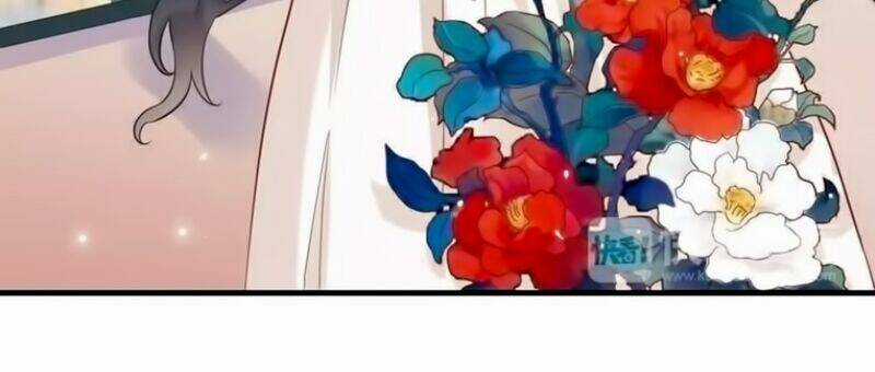 Cô Vợ Hợp Đồng Bỏ Trốn Của Tổng Giám Đốc Chapter 9 trang 5