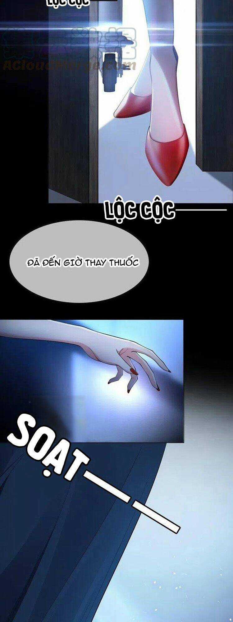 Cô Vợ Nhỏ Nuông Chiều Quá Lại Thành Ác!! Chapter 219 trang 8