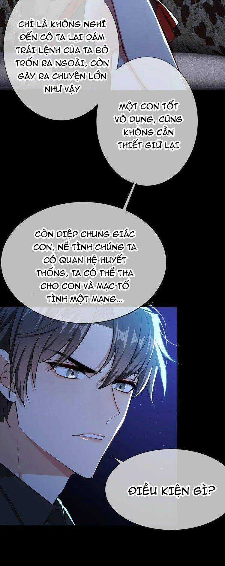 Cô Vợ Nhỏ Nuông Chiều Quá Lại Thành Ác!! Chapter 222 trang 4