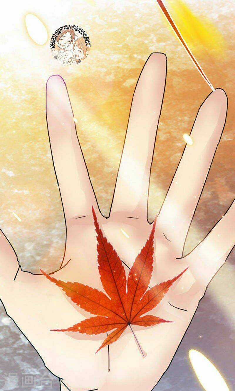 Cô Vợ Siêu Mẫu Của Cố Thiếu Chapter 89 trang 11