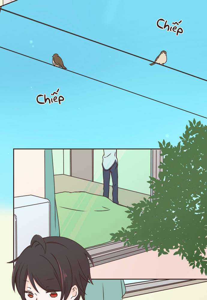 Cô Vợ Thanh Mai Trúc Mã Chapter 1 trang 8