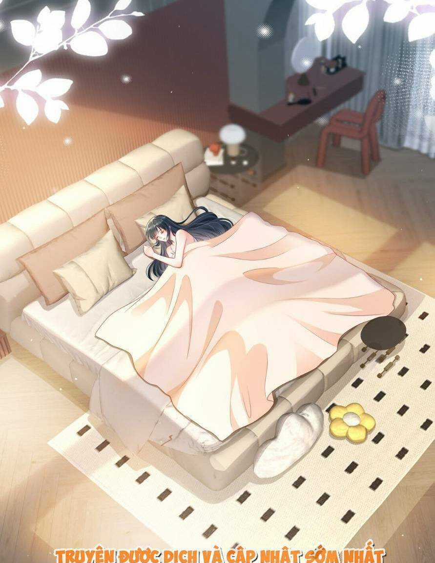 Cô Vợ Thế Thân Của Tổng Tài Chapter 14 trang 2