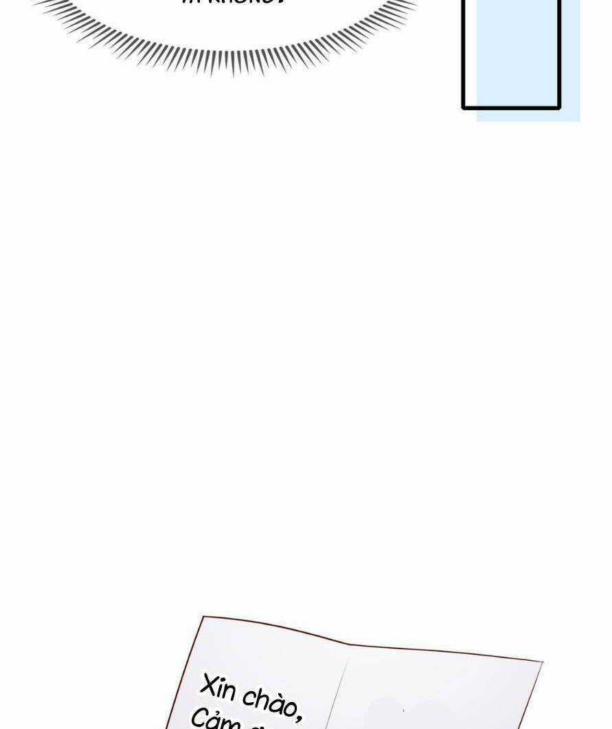 Cô Vợ Thế Thân Của Tổng Tài Chapter 16 trang 16