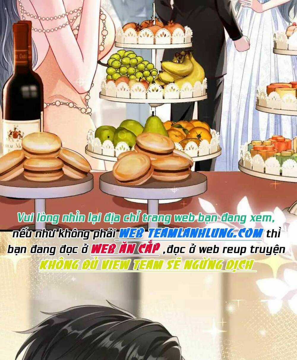 Cô Vợ Thế Thân Của Tổng Tài Chapter 3 trang 8