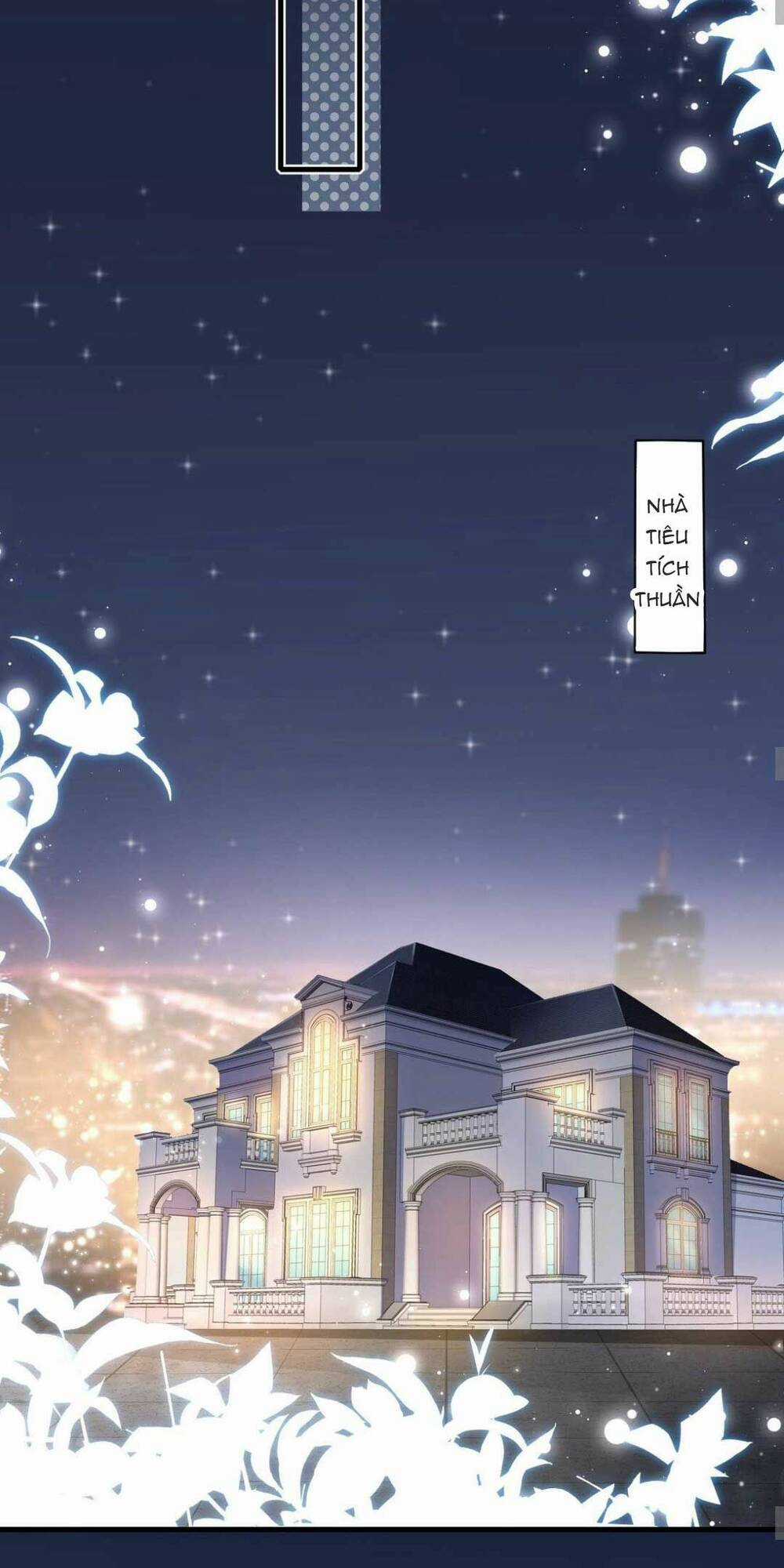 Cô Vợ Thế Thân Của Tổng Tài Chapter 4 trang 27