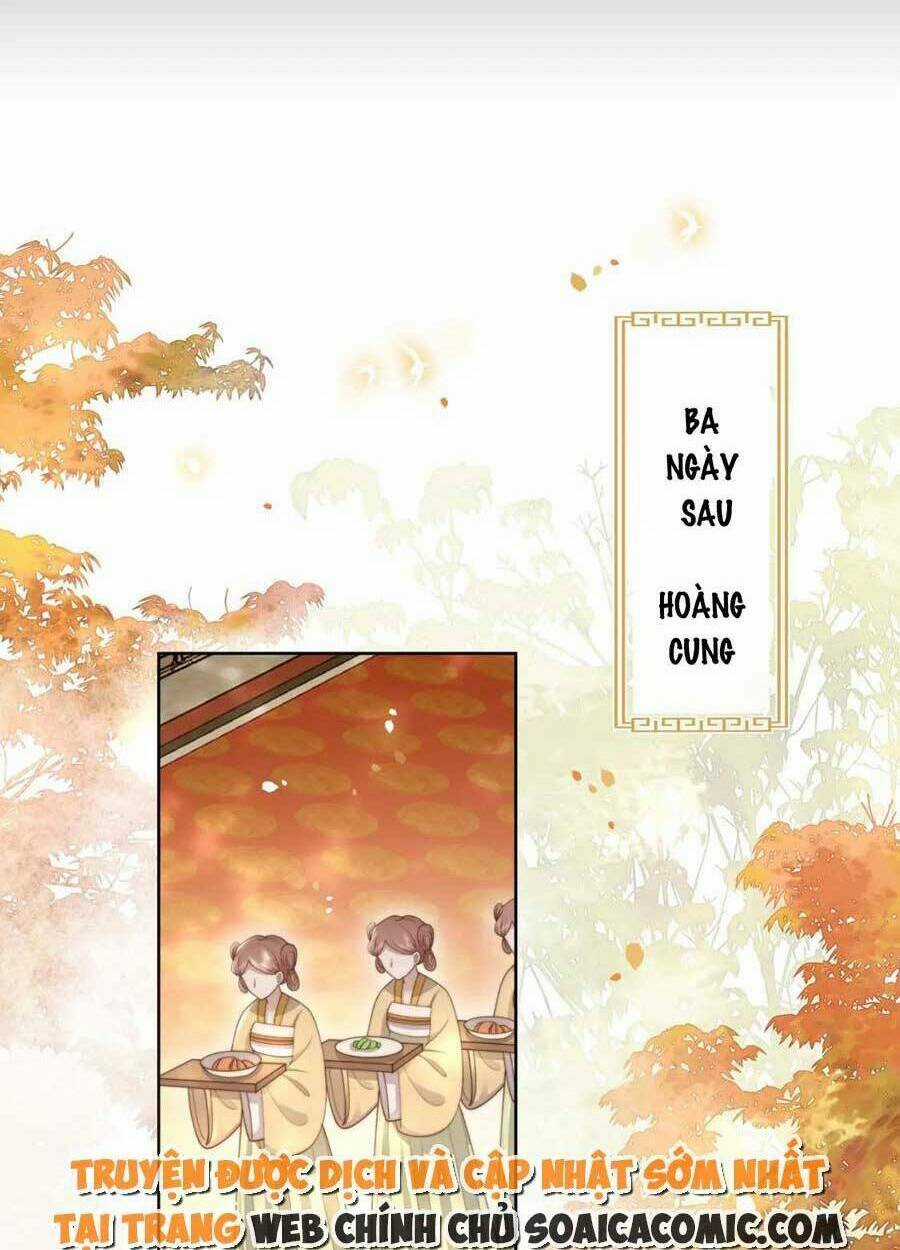 Cô Vương Quả Nữ Chapter 51 trang 32