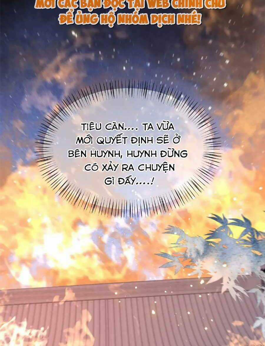 Cô Vương Quả Nữ Chapter 71 trang 13