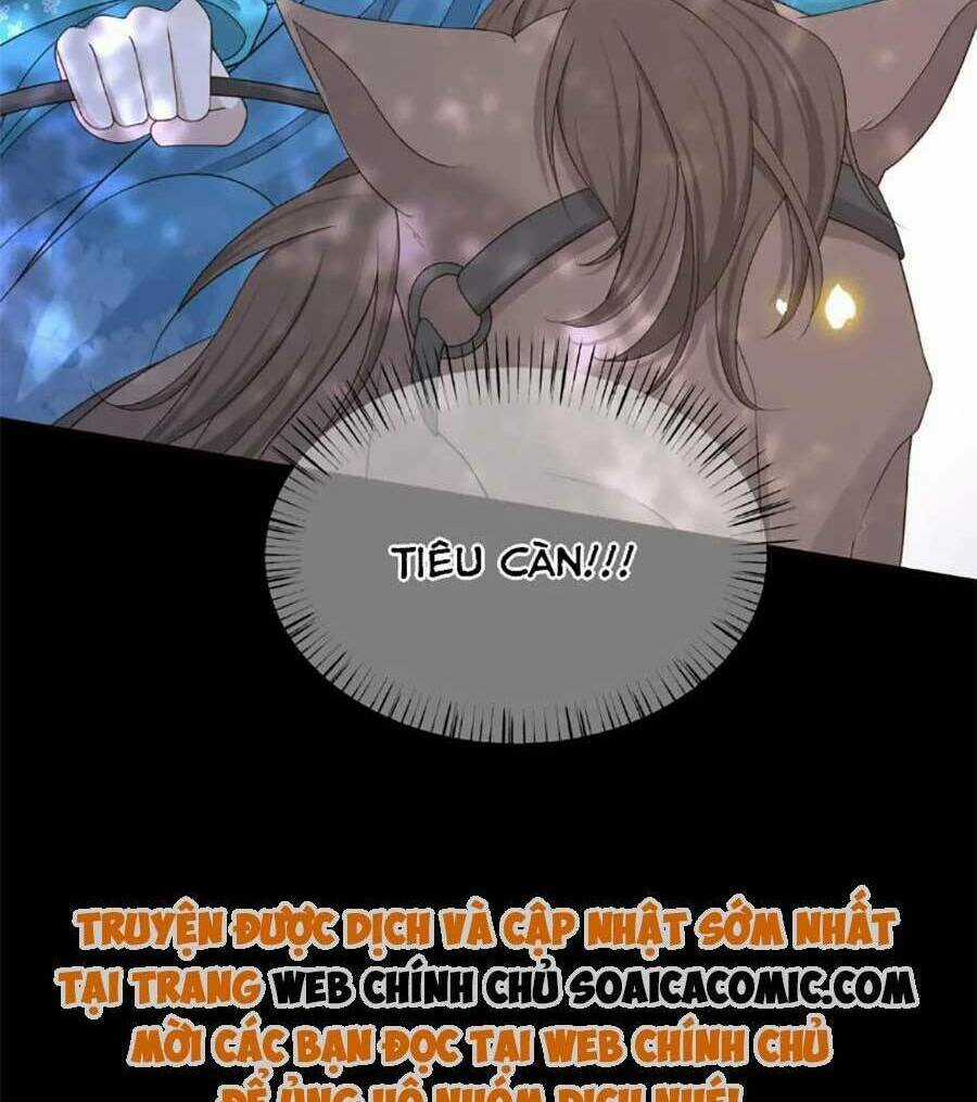 Cô Vương Quả Nữ Chapter 71 trang 3