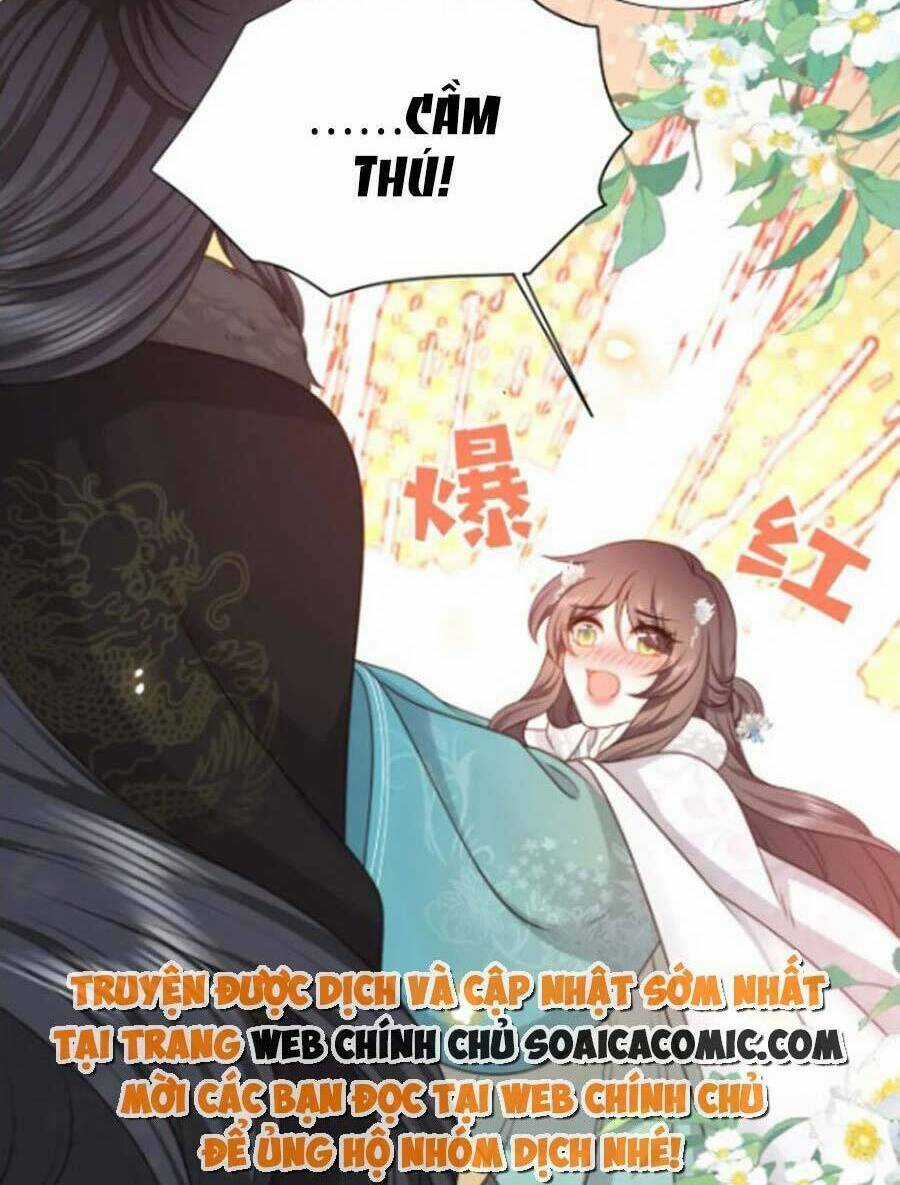 Cô Vương Quả Nữ Chapter 77 trang 13