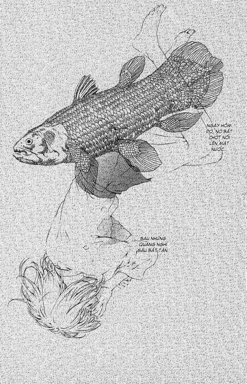 Coelacanth Chapter 1 trang 4