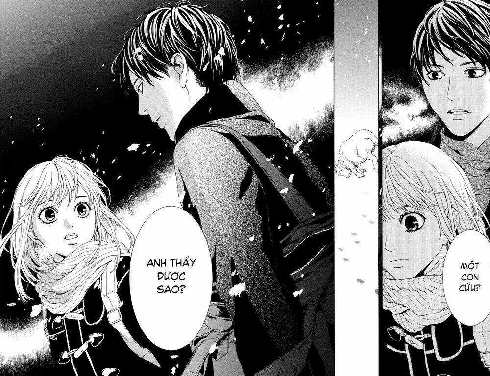 Coelacanth Chapter 1 trang 41