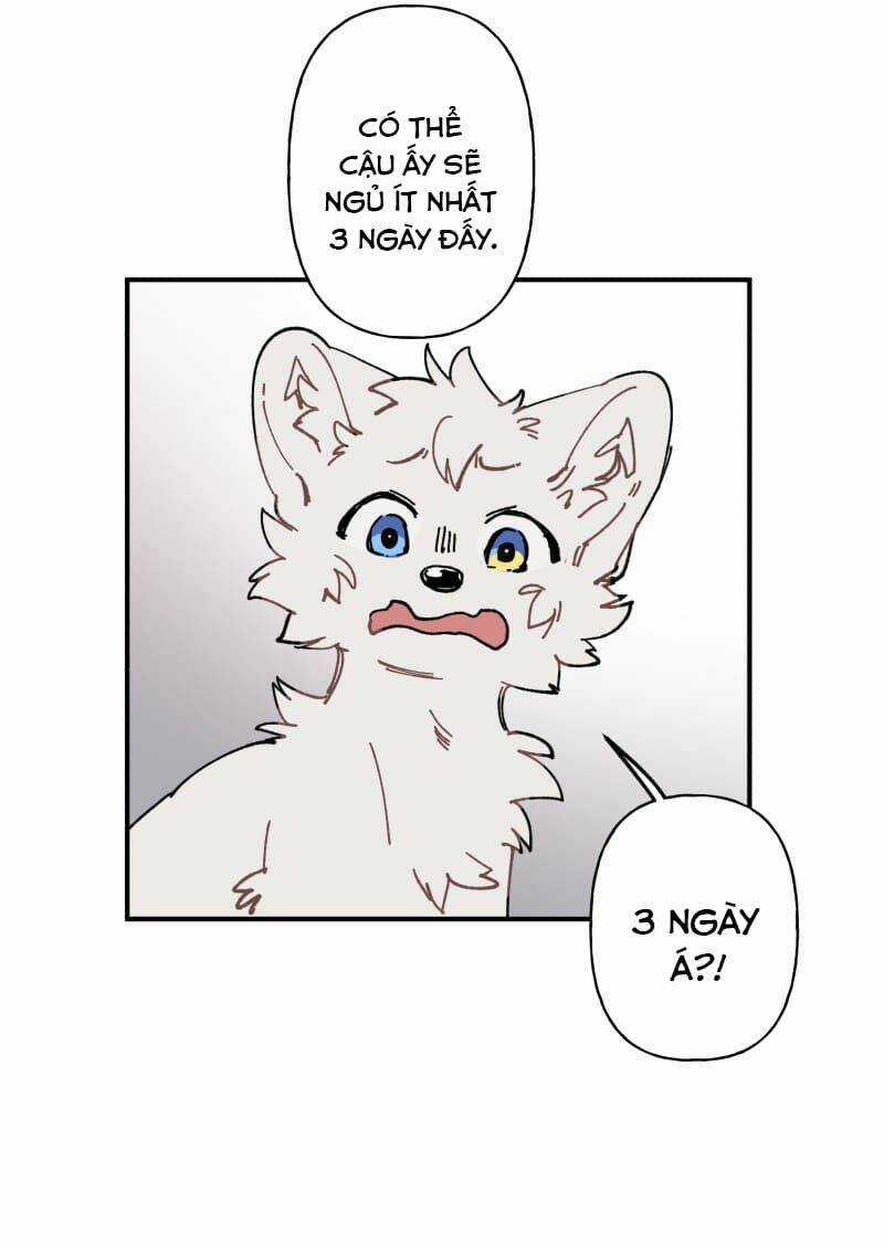 Cội Nguồn Ánh Sáng Chapter 105 trang 12