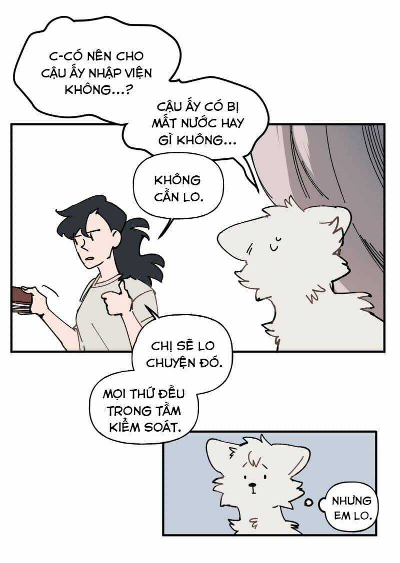 Cội Nguồn Ánh Sáng Chapter 105 trang 13